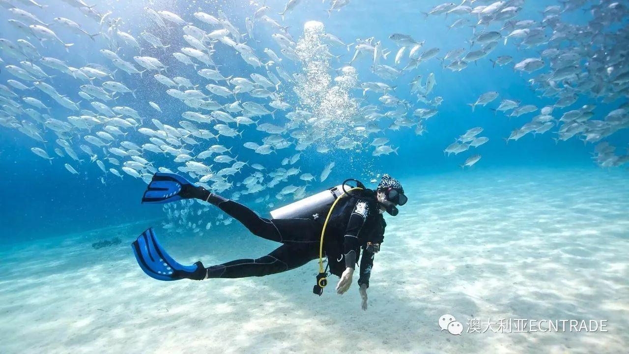 流放骑士