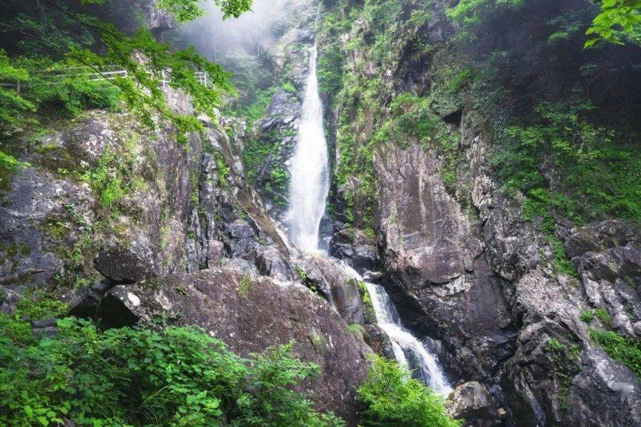逃离未知丛林2